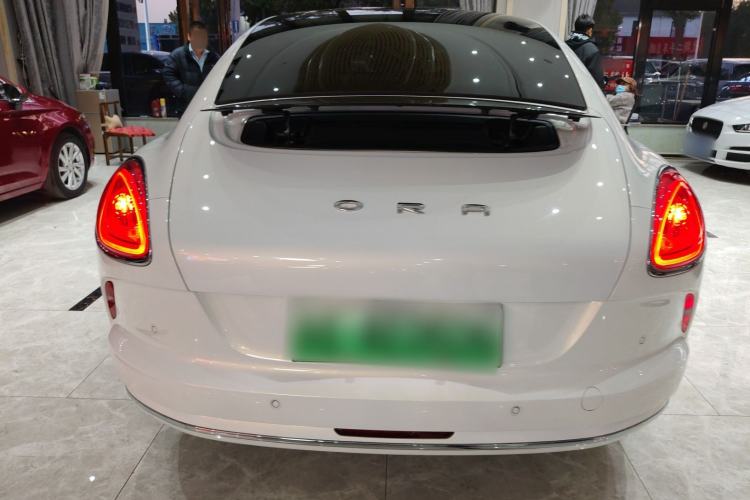 Used ORA Lightning Cat 2022 555 km Luxury Edition Rear