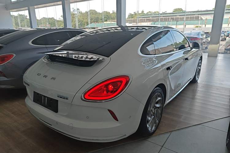 Used ORA Lightning Cat 2022 555 km Luxury Edition Rear Right 45 Deg