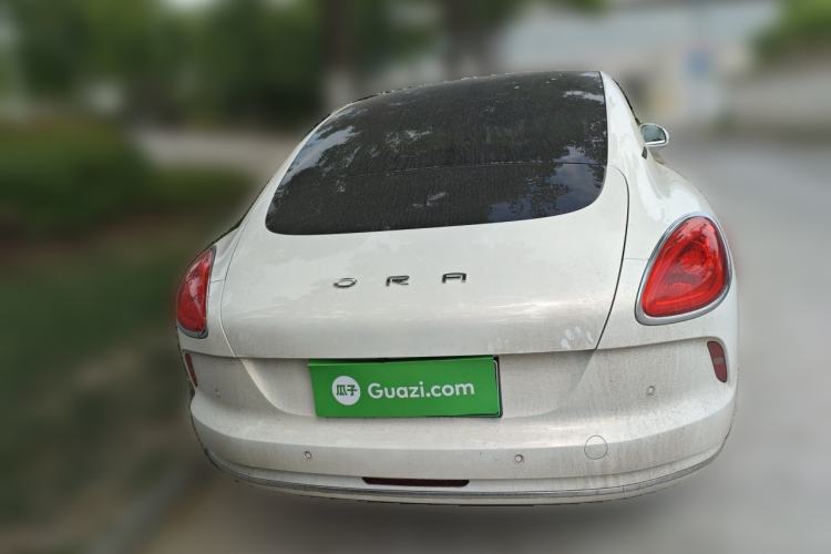 Used ORA Lightning Cat 2022 555 km Luxury Edition Rear