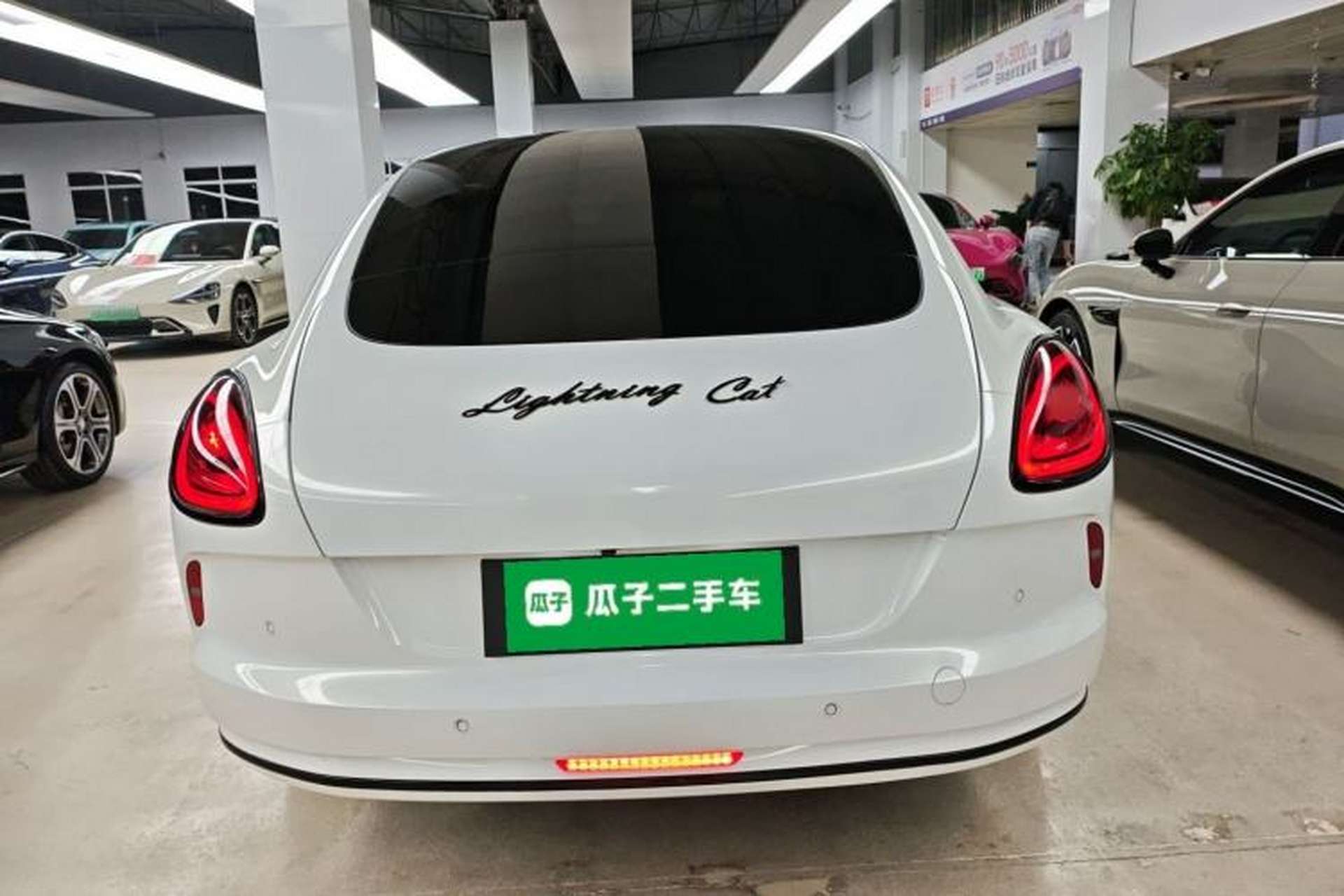 Used ORA Lightning Cat 2022 555 km Luxury Edition Rear