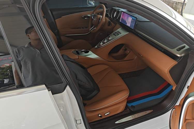 Used ORA Lightning Cat 2022 555 km Luxury Edition Right Front Seat