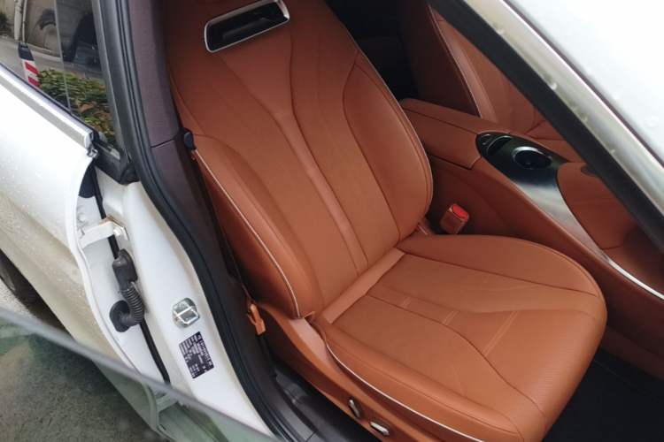 Used ORA Lightning Cat 2022 555 km Luxury Edition Right Front Seat