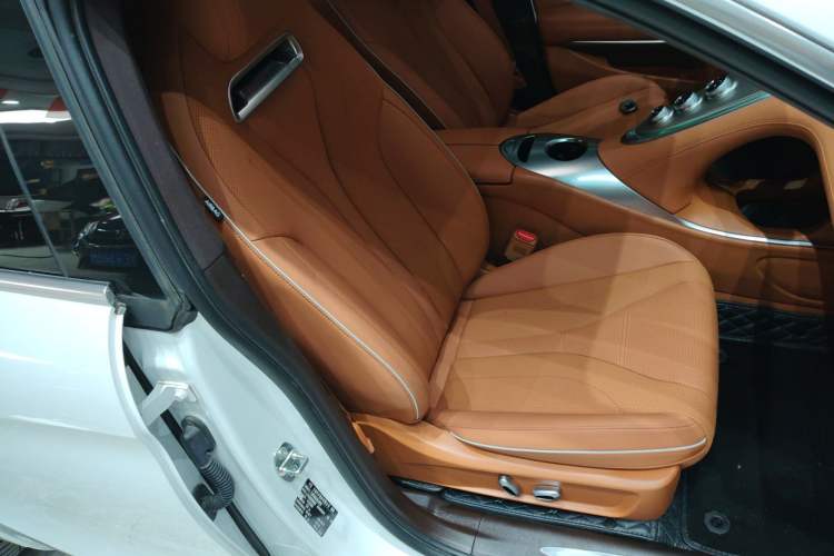 Used ORA Lightning Cat 2022 555 km Luxury Edition Right Front Seat