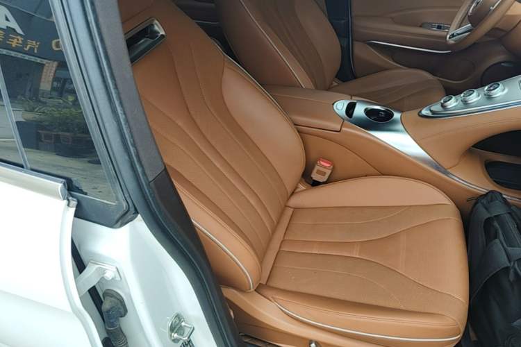 Used ORA Lightning Cat 2022 555 km Luxury Edition Right Front Seat