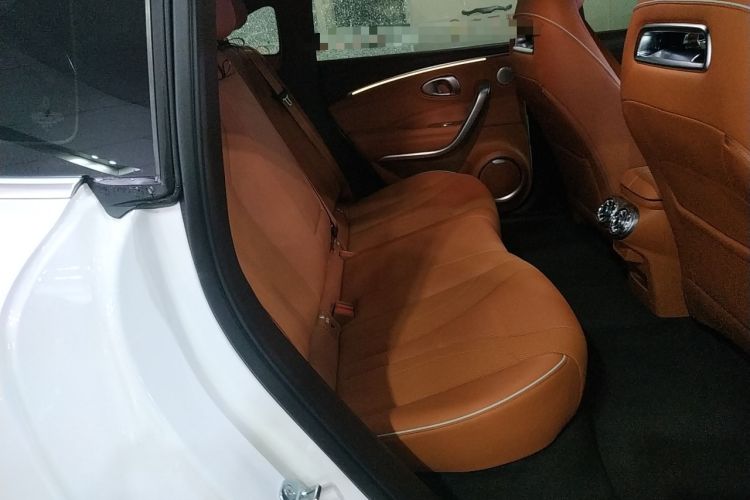 Used ORA Lightning Cat 2022 555 km Luxury Edition Right Rear Seat
