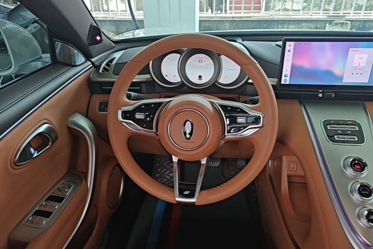 Used ORA Lightning Cat 2022 555 km Luxury Edition Steering Wheel