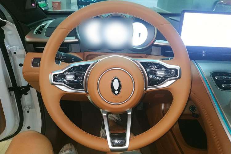 Used ORA Lightning Cat 2022 555 km Luxury Edition Steering Wheel
