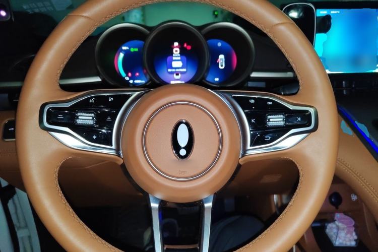 Used ORA Lightning Cat 2022 555 km Luxury Edition Steering Wheel