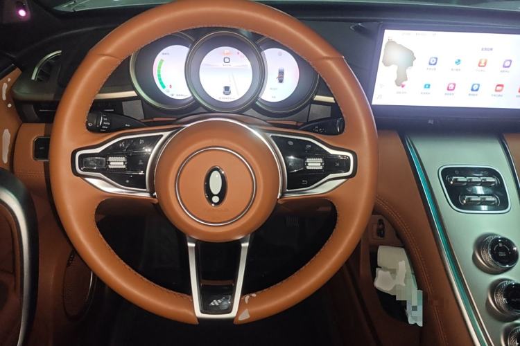 Used ORA Lightning Cat 2022 555 km Luxury Edition Steering Wheel