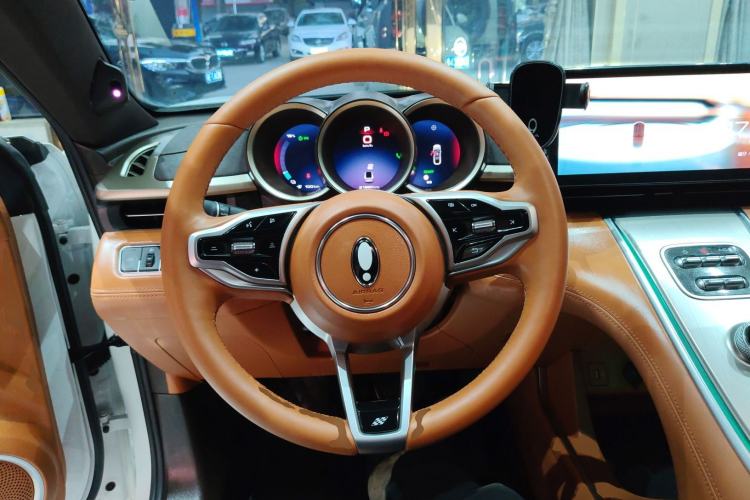 Used ORA Lightning Cat 2022 555 km Luxury Edition Steering Wheel