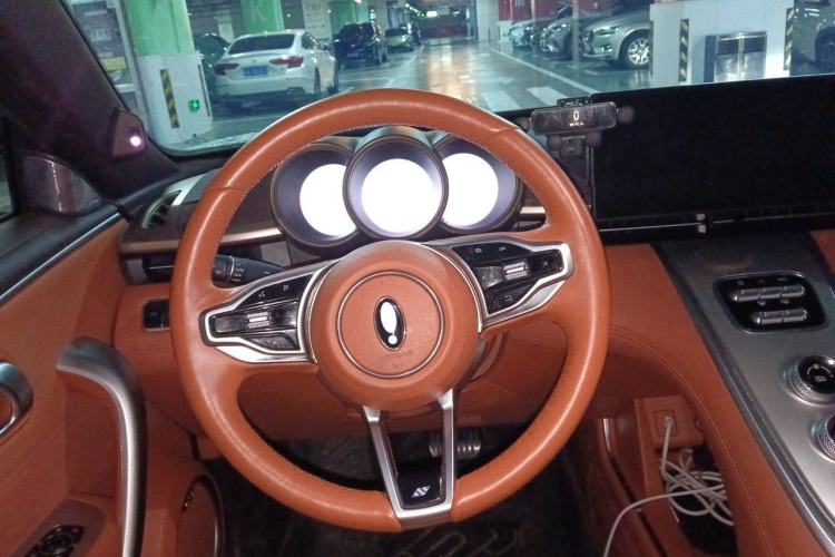 Used ORA Lightning Cat 2022 600 km All-Wheel Drive High-Performance Version Steering Wheel