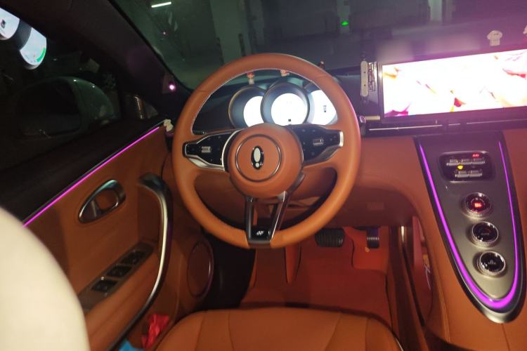 Used ORA Lightning Cat 2022 555 km Luxury Edition Steering Wheel