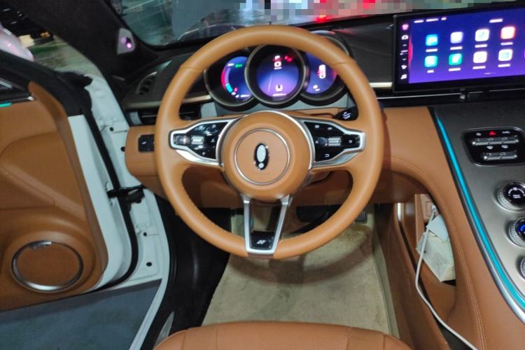 Used ORA Lightning Cat 2022 555 km Luxury Edition Steering Wheel