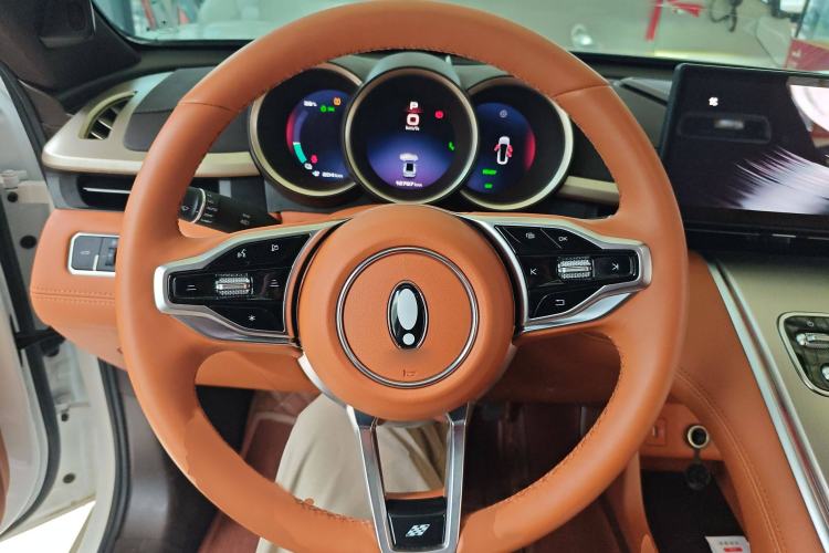 Used ORA Lightning Cat 2022 555 km Luxury Edition Steering Wheel