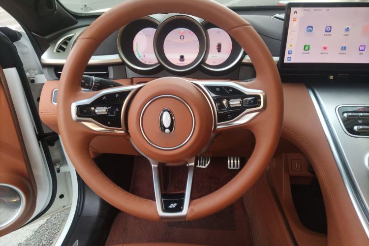 Used ORA Lightning Cat 2022 555 km Luxury Edition Steering Wheel