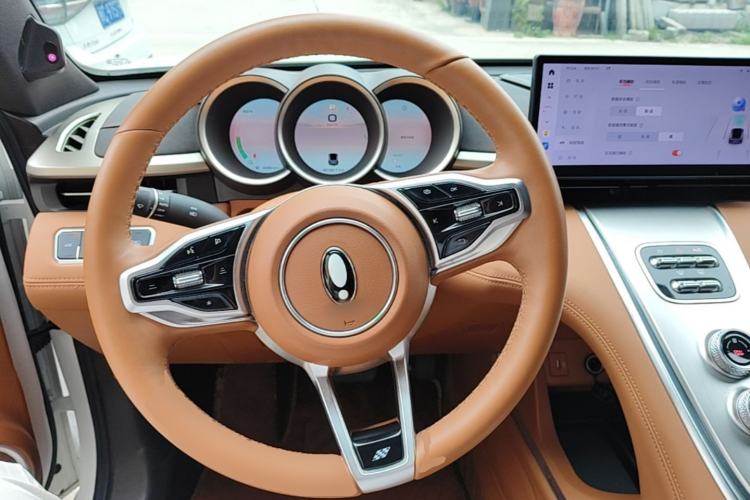 Used ORA Lightning Cat 2022 555 km Luxury Edition Steering Wheel