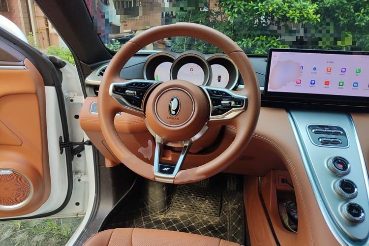 Used ORA Lightning Cat 2022 555 km Luxury Edition Steering Wheel
