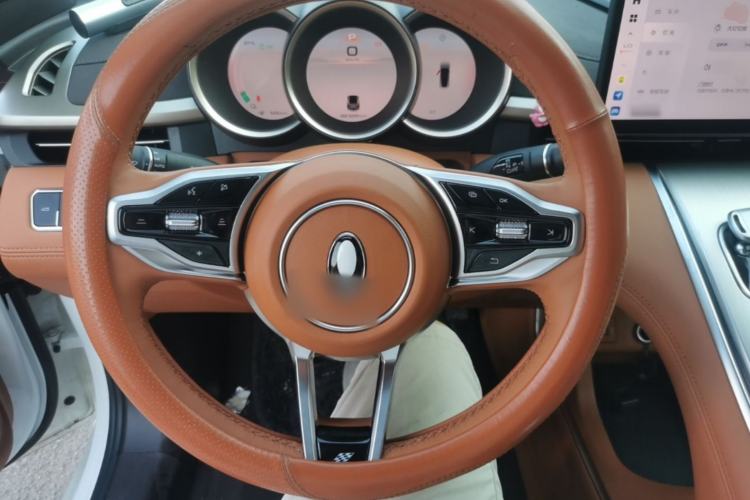 Used ORA Lightning Cat 2022 555 km Luxury Edition Steering Wheel