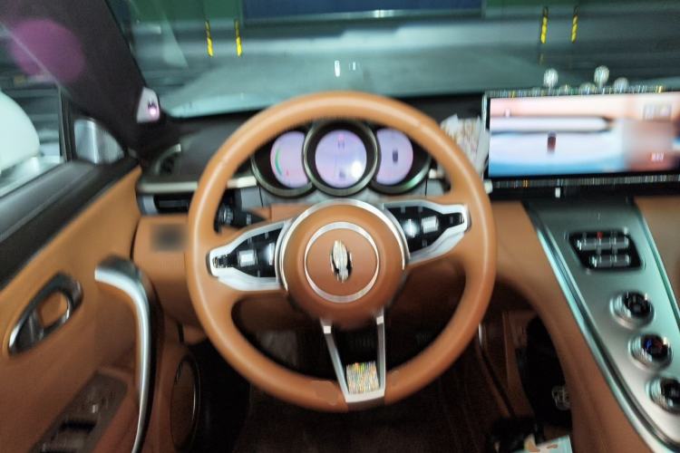 Used ORA Lightning Cat 2022 555 km Luxury Edition Steering Wheel