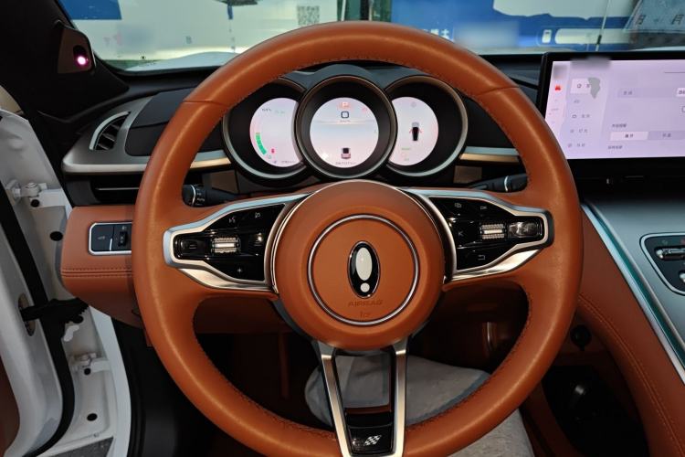 Used ORA Lightning Cat 2022 555 km Luxury Edition Steering Wheel