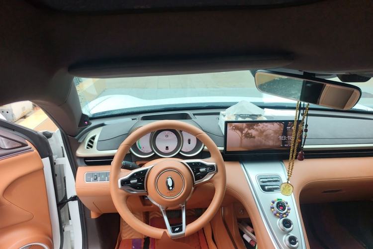 Used ORA Lightning Cat 2022 555 km Luxury Edition Steering Wheel