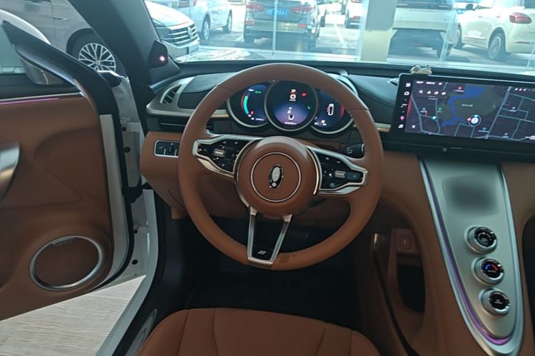 Used ORA Lightning Cat 2022 555 km Luxury Edition Steering Wheel