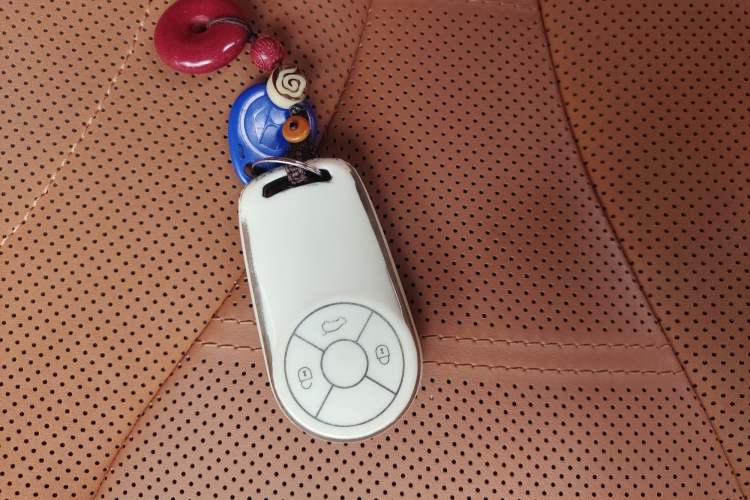 Used ORA Lightning Cat 2022 555 km Luxury Edition Vehicle Key