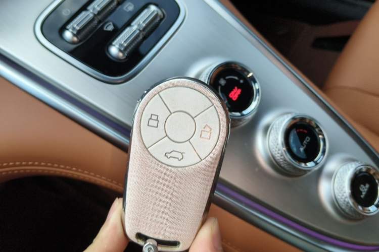 Used ORA Lightning Cat 2022 555 km Luxury Edition Vehicle Key