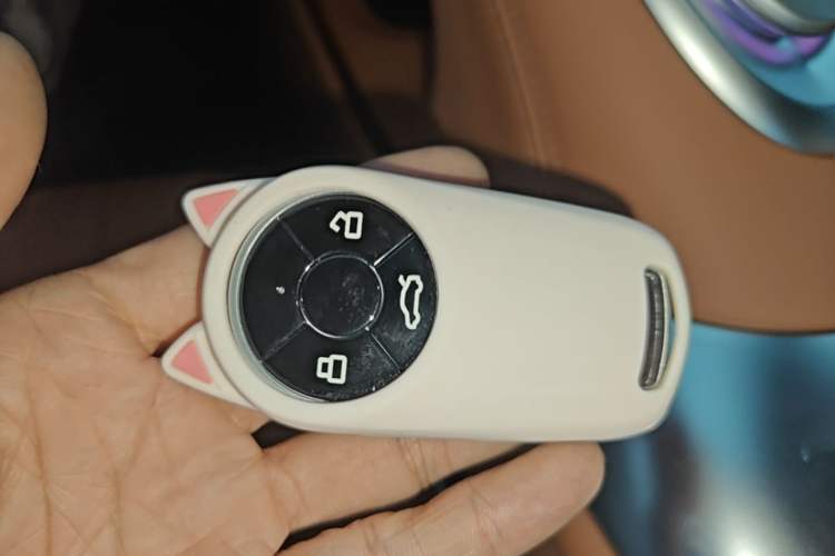 Used ORA Lightning Cat 2022 555 km Luxury Edition Vehicle Key