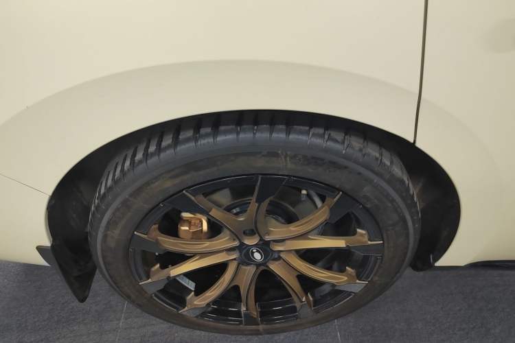 Used ORA Lightning Cat 2022 555 km Luxury Edition Exterior 5