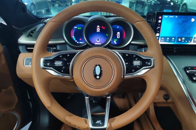 Used ORA Lightning Cat 2022 555 km Luxury Edition Steering Wheel