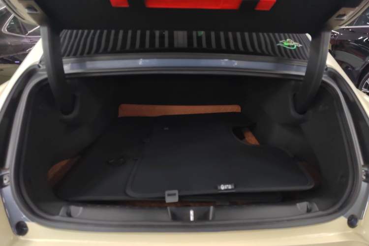 Used ORA Lightning Cat 2022 555 km Luxury Edition Trunk
