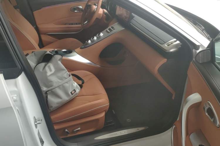 Used ORA Lightning Cat 2024 Dark Night Edition 555km Prestige Version Right Front Seat