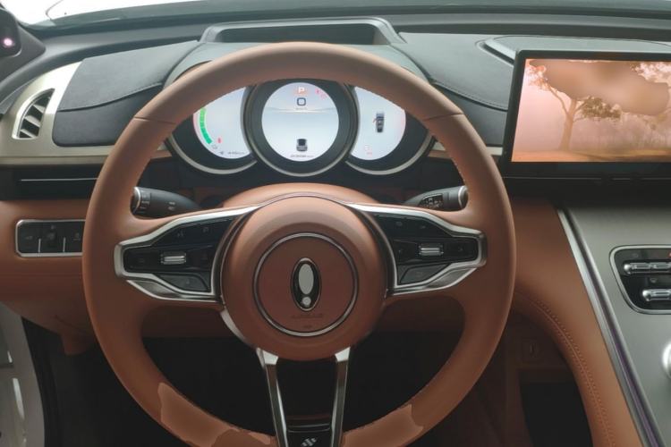 Used ORA Lightning Cat 2024 Dark Night Edition 555km Prestige Version Steering Wheel