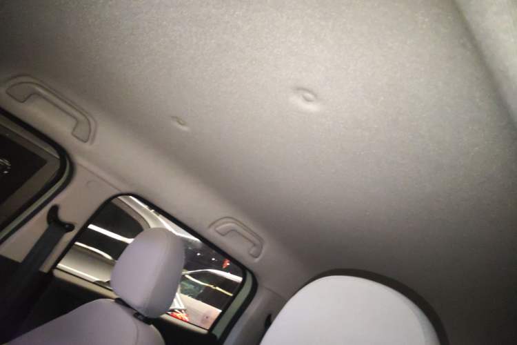 Used ORA White Cat 2020 305 km Luxury Version Headliner