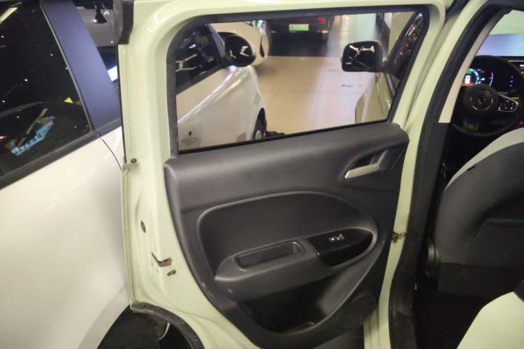 Used ORA White Cat 2020 305 km Luxury Version Left Rear Door Interior