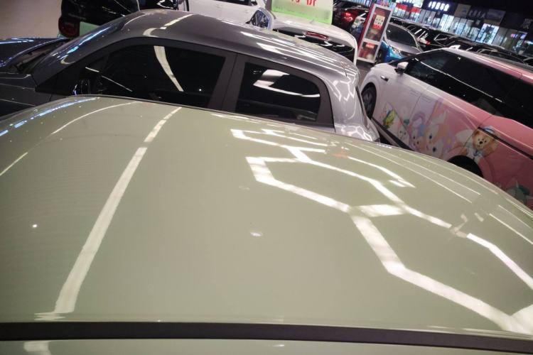 Used ORA White Cat 2020 305 km Luxury Version Roof
