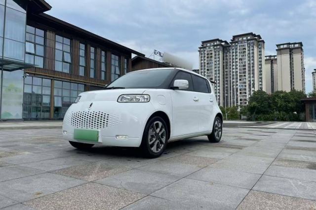 Used ORA White Cat 2020 305 km Luxury Version