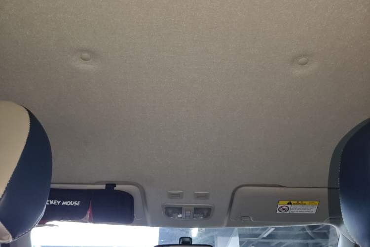 Used ORA White Cat 2020 360 km Luxury Version Headliner
