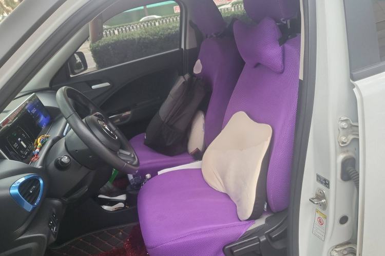 Used ORA White Cat 2020 305 km Luxury Version Left Front Seat