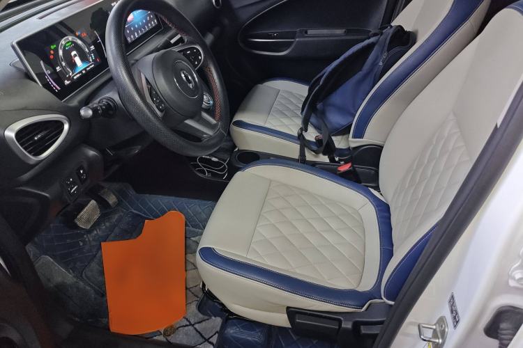 Used ORA White Cat 2020 360 km Luxury Version Left Front Seat