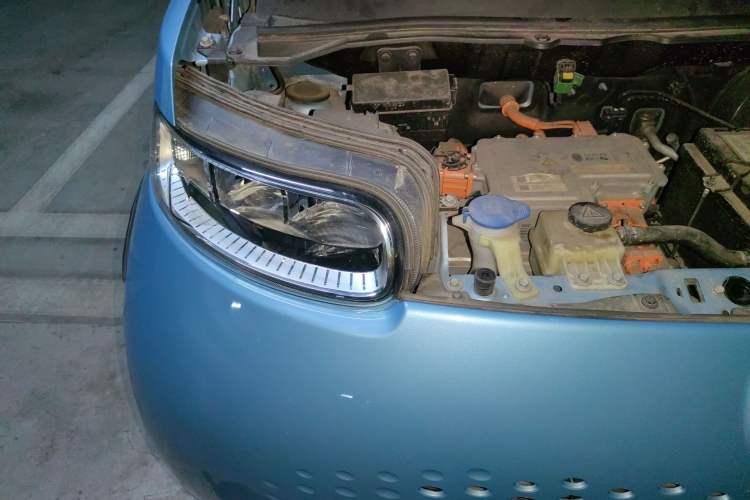 Used ORA White Cat 2020 401 km Flagship Version Engine Bay Right