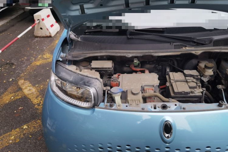 Used ORA White Cat 2020 305 km Luxury Version Engine Bay Right