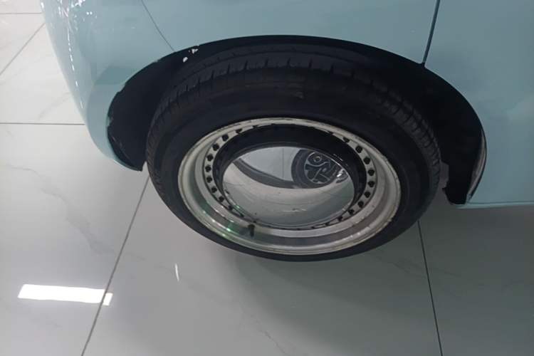 Used ORA White Cat 2020 401 km Long-Range Version Exterior 5