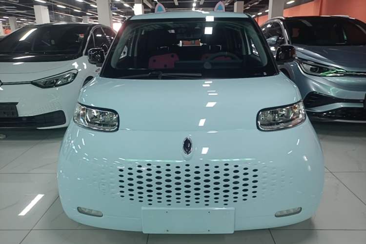 Used ORA White Cat 2020 401 km Long-Range Version Front