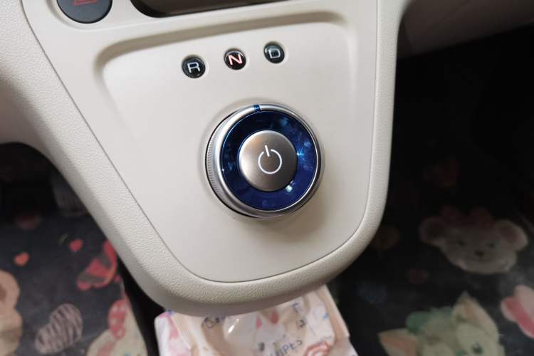 Used ORA White Cat 2020 305 km Luxury Version Gear Lever