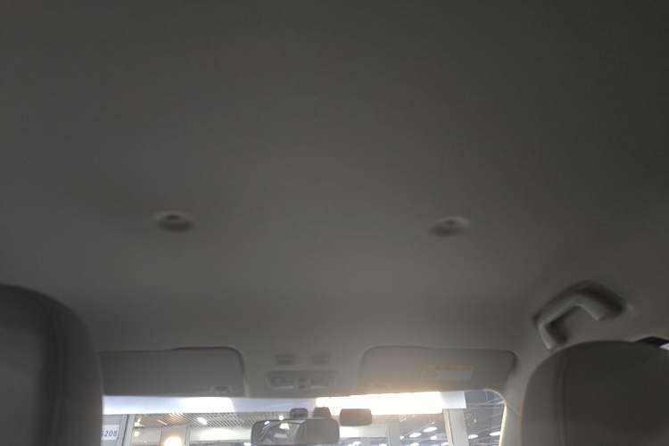 Used ORA White Cat 2020 305 km Luxury Version Headliner