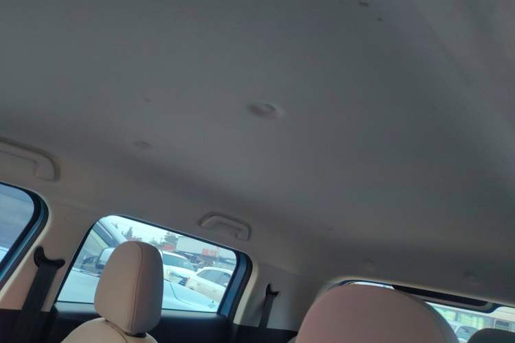 Used ORA White Cat 2020 360km Standard Version Headliner