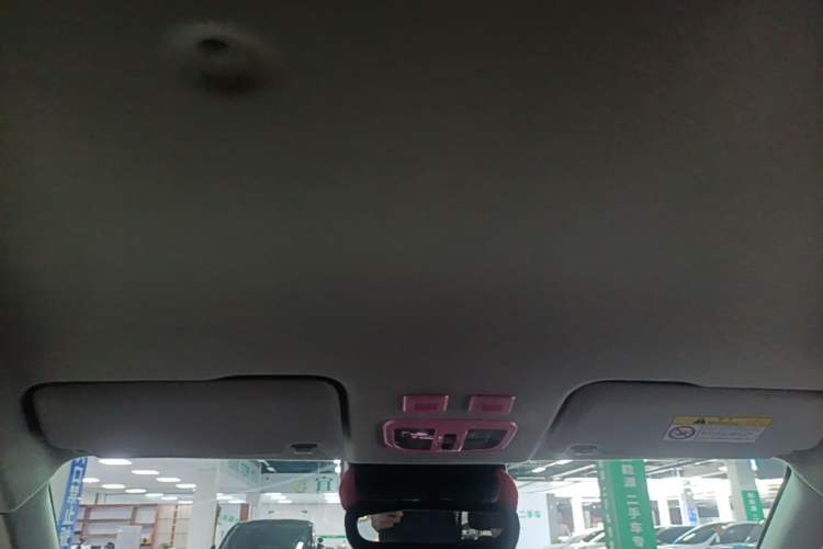 Used ORA White Cat 2020 401 km Long-Range Version Headliner