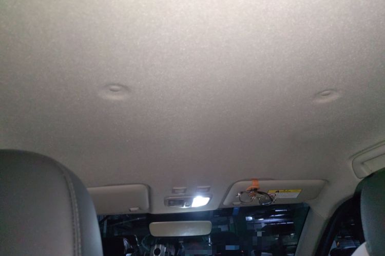 Used ORA White Cat 2020 401 km Flagship Version Headliner